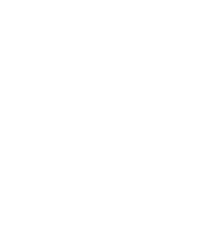 GeminixPRO